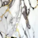 marmol-dorado-y-negro