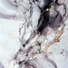 veteado-artico